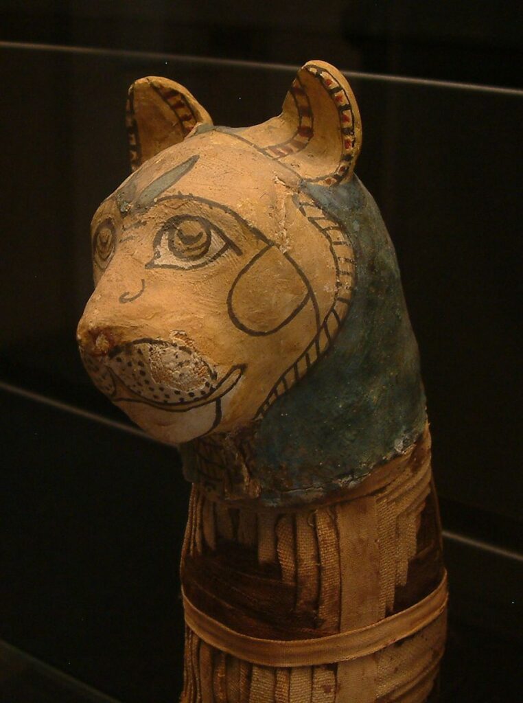Древний Египет, кошки, мумификация